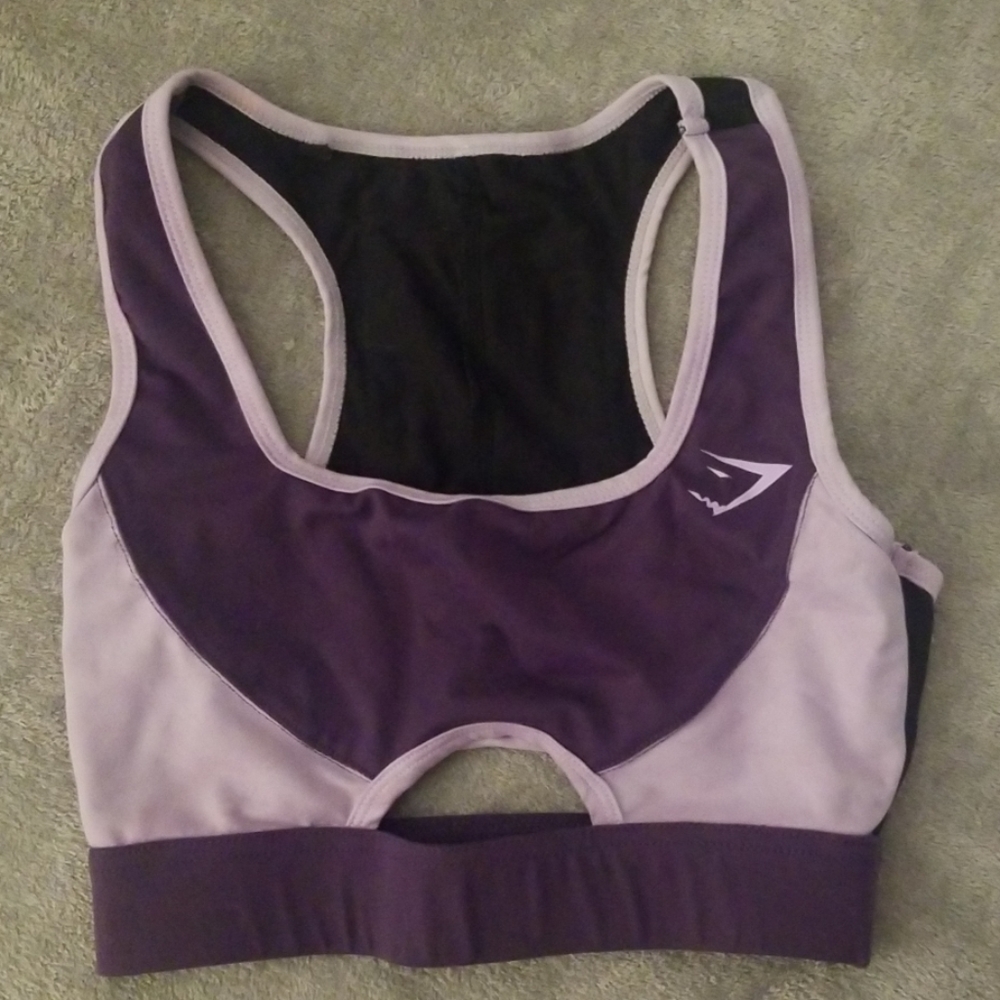 Purple Color Block Sports Bra